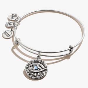 Alex and Ani Evil Eye Charm Bracelet / Bangle